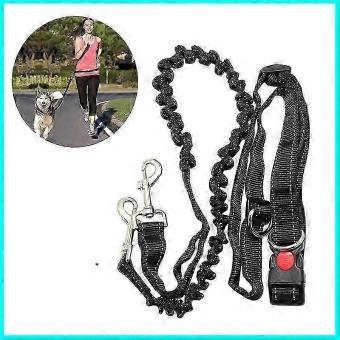 Pet Dog Lead Leash Outdoor Dogs Harness Hands Free Prime Waist Belt Lead Leash core