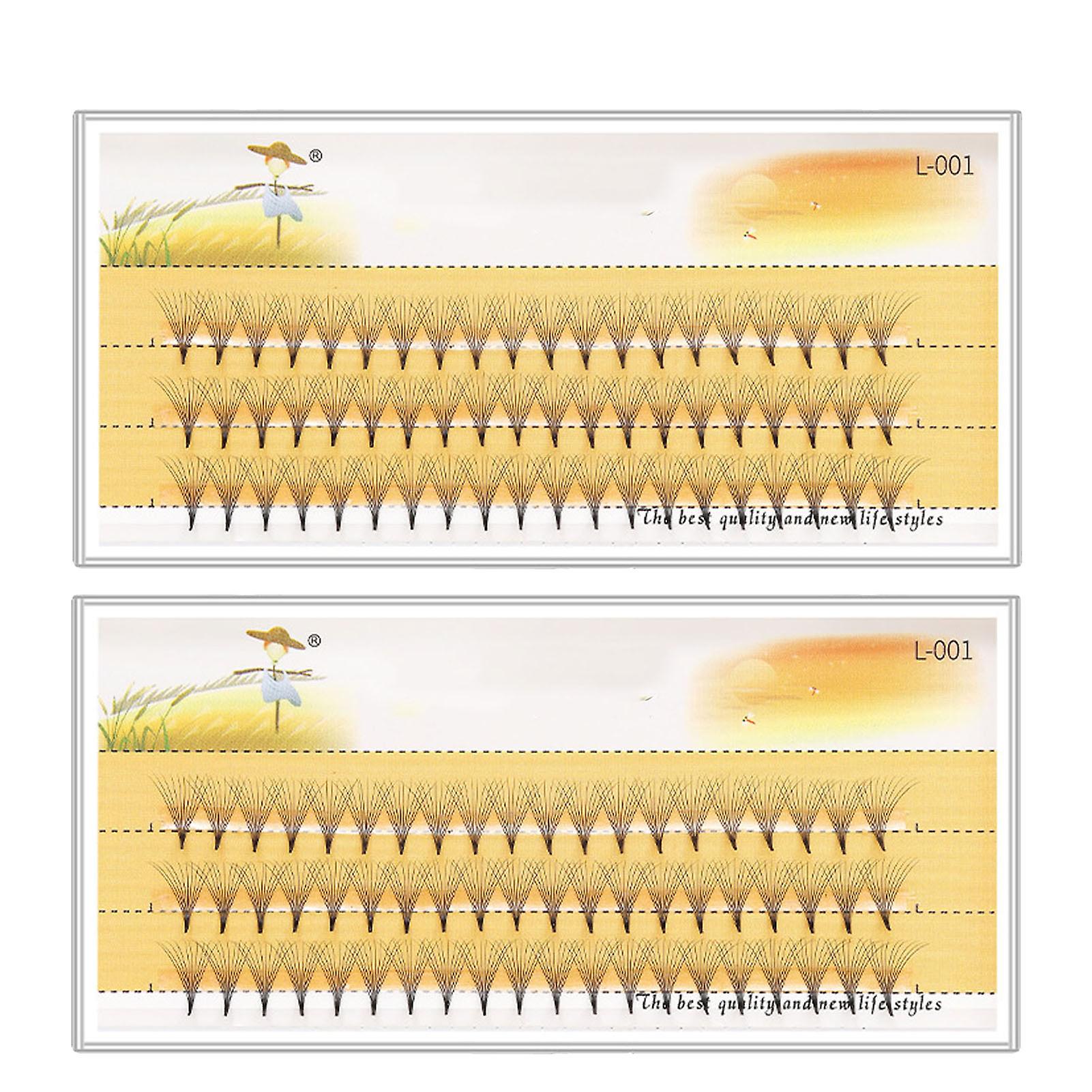 2 box individual lashes 0.07 10D lightweight lash cluster extensions