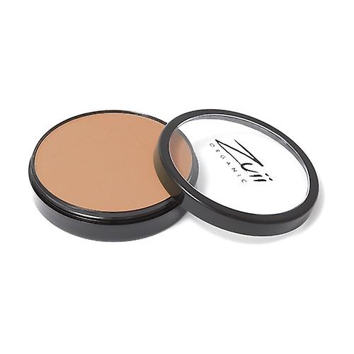 Organic pecan bio compact foundation 1 unit of 10g