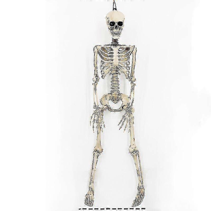 Halloween Human Skeleton Decoration Props