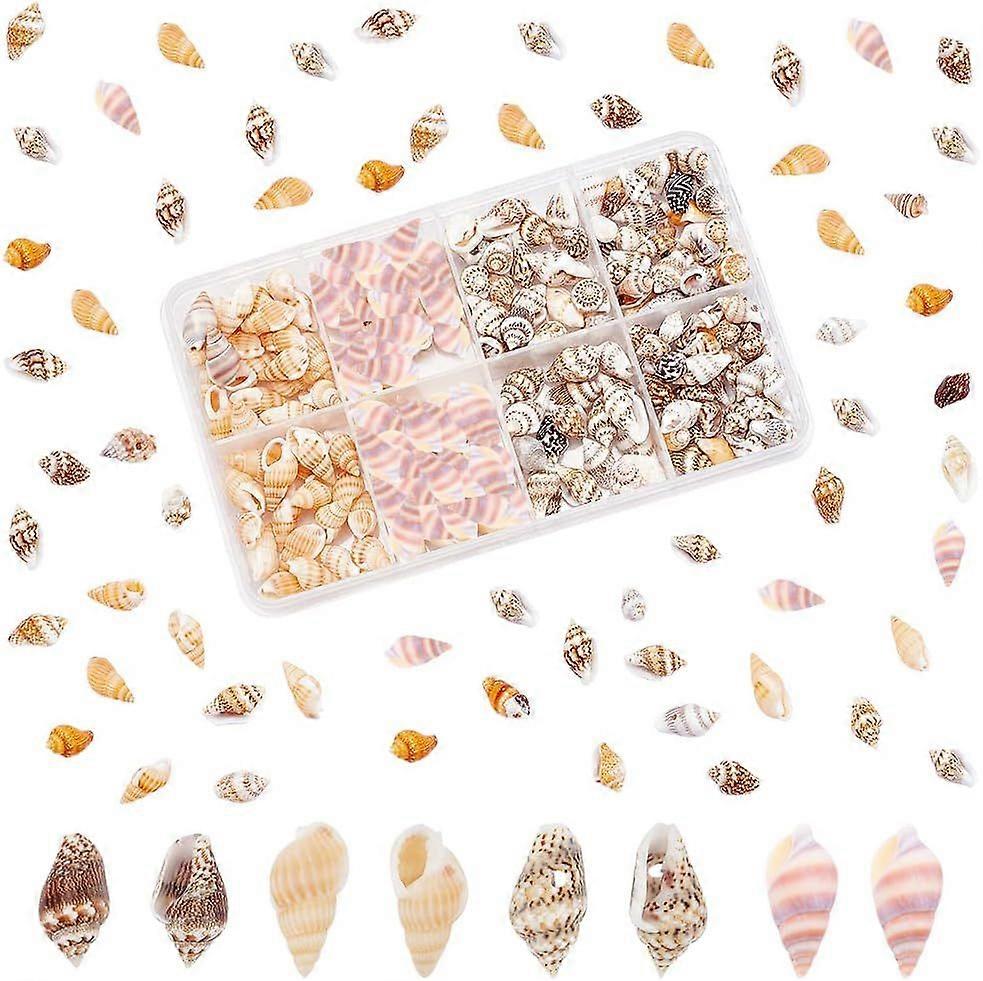 260pcs Sea Shells 4 Styles Ocean Spiral Seashells Tiny Beach Conch Shells Marine Life Seashells for Beach Theme Party Beach Fairy Garden Candle Making