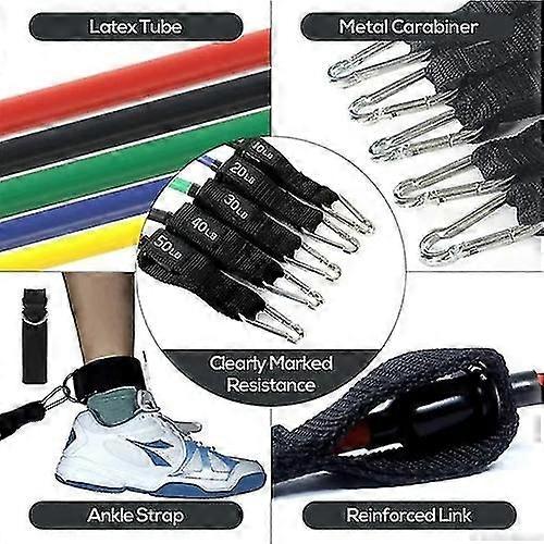 Resistance Bands, Exercise Bands Set With Door Anchor, Legs Ankle Straps, Handles, Carry Bag, Elastic Workout Bands For Physical Therapy, Resistance T