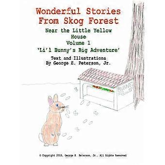 Wonderful Stories From Skog Forest