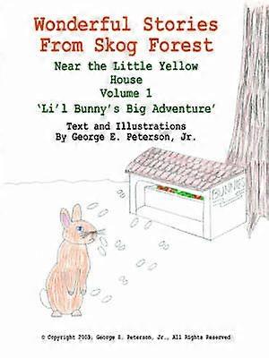 Wonderful Stories From Skog Forest