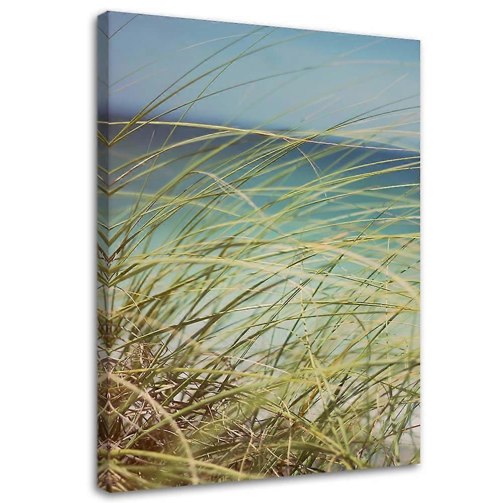 Impression sur toile, Herbe sur les dunes - 60x90