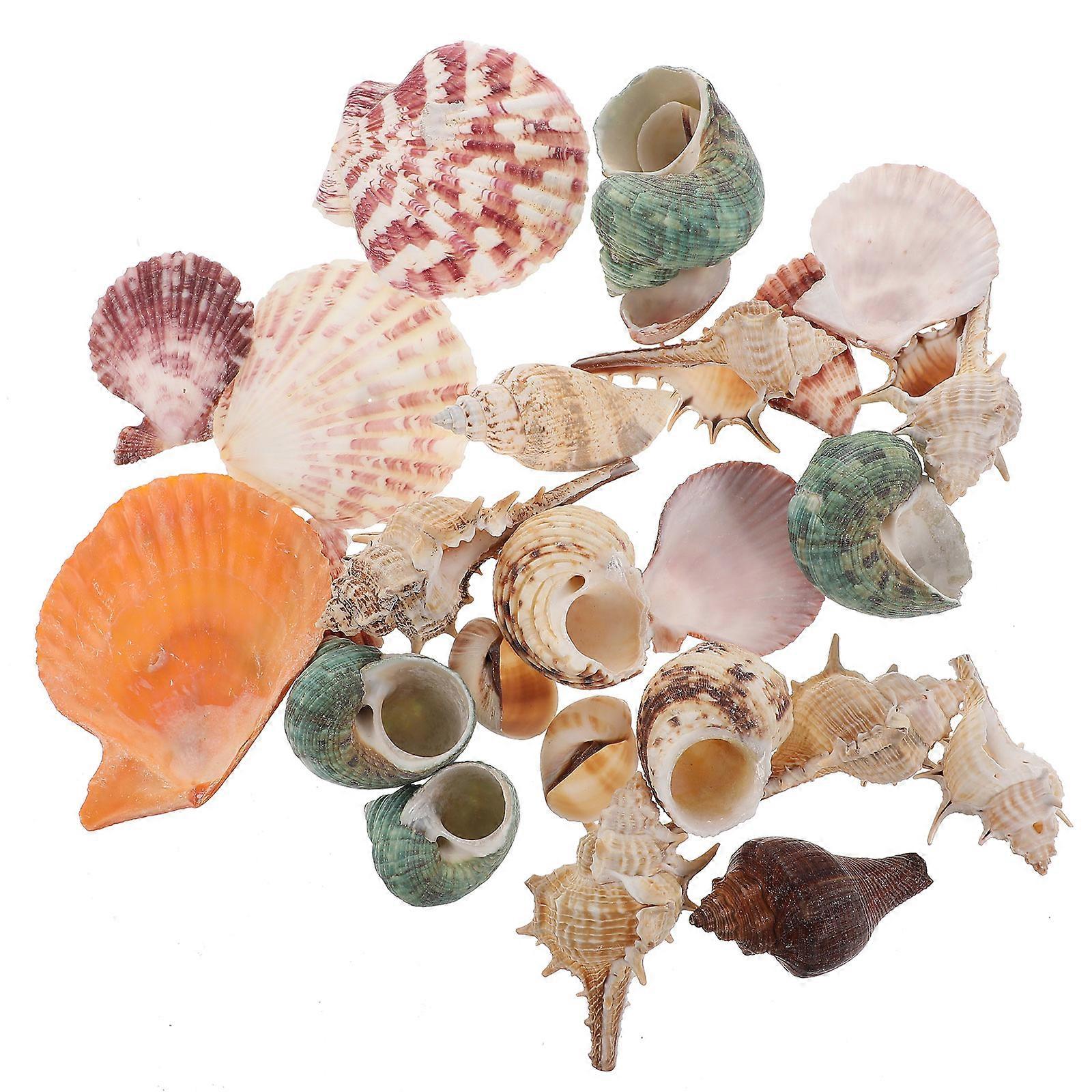 Fish Tank Conch Decor Aquarium Simulation Conch Shells Decor Pet Play and Hide Random 4x3cm Shell Material 1 Pack