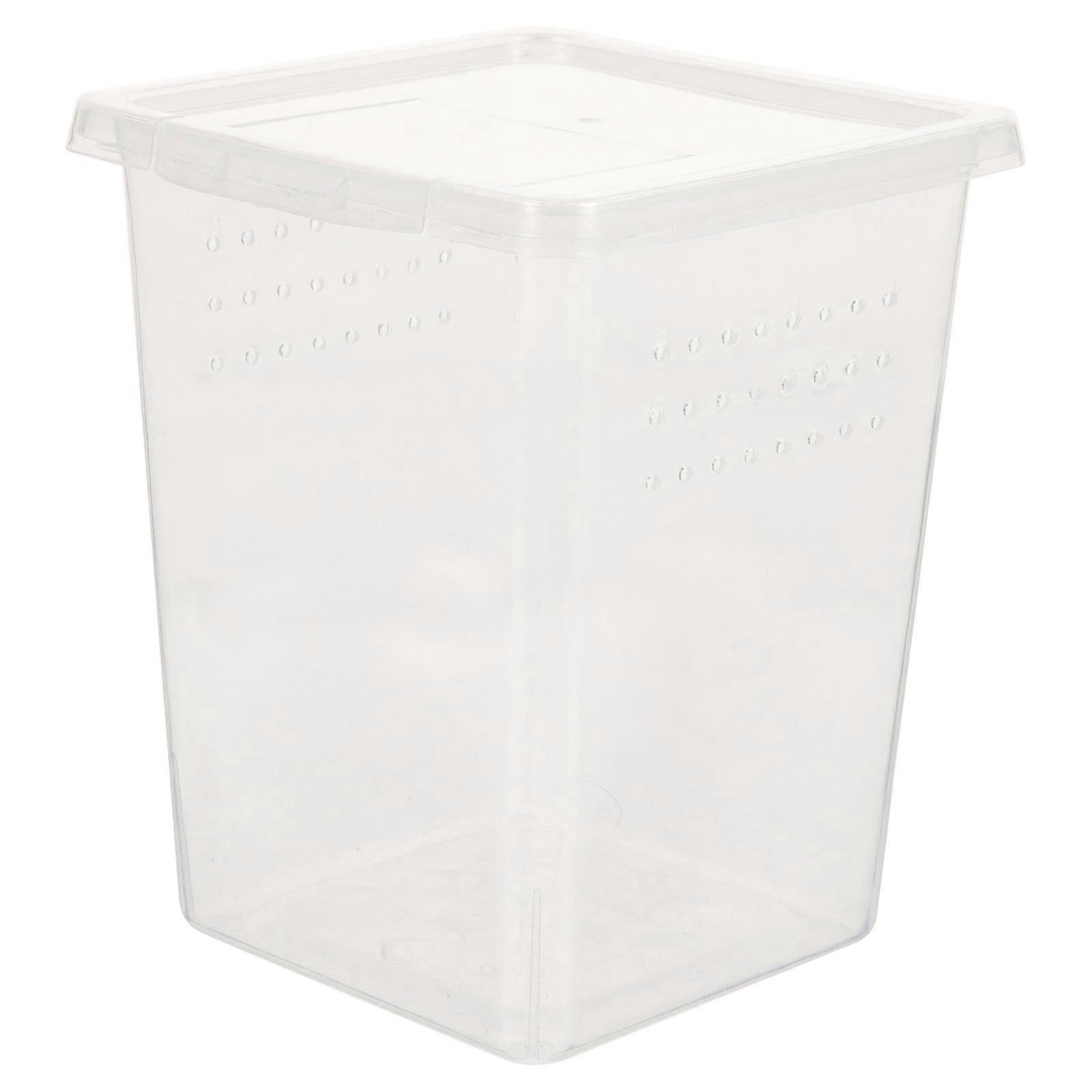 Transparent Plastic Reptile Feeding Box with Breathing Holes for Small Pets Showing and Pill Holding 7x5 inches