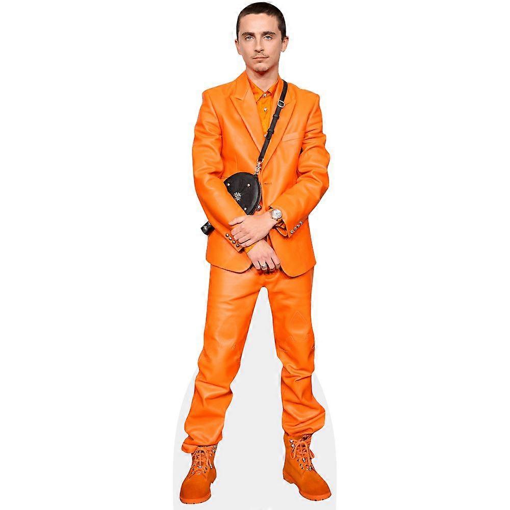 Timothée Chalamet (Orange) Cardboard Cutout (lifesize OR mini size). Standee. Stand Up.