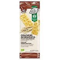 Wheat crackers salted on the surface 250 g