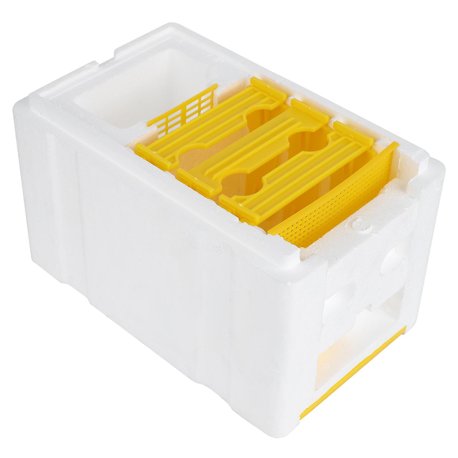 Queen mating box Foam breeding, auxiliary mating