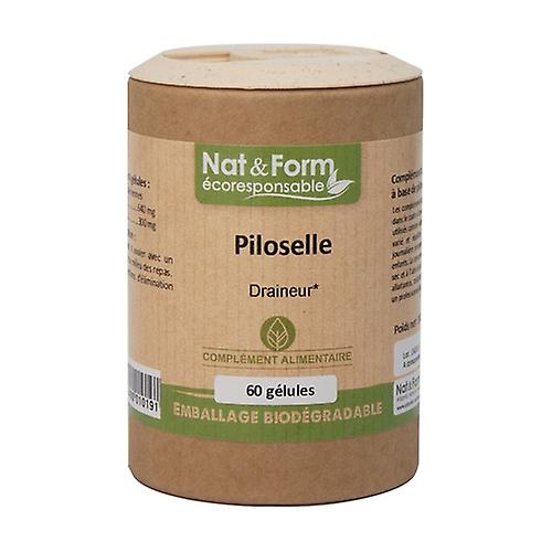 Piloselle - Eco range 60 capsules