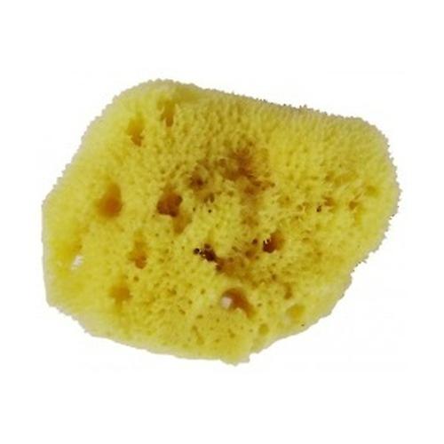 Fine natural face sponge 1 unit
