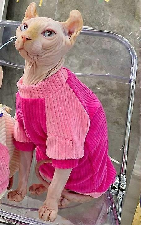 Hairless Cat Sweatershirt Fashion Spring Autumn Cats Colorful Vest Sphynx Clothes Lapel Collar Undercoat for Puppy Kitten Pet