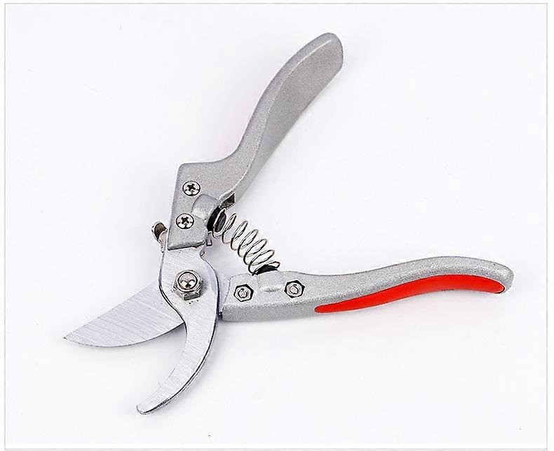 Stainless steel secateurs for precise cutting
