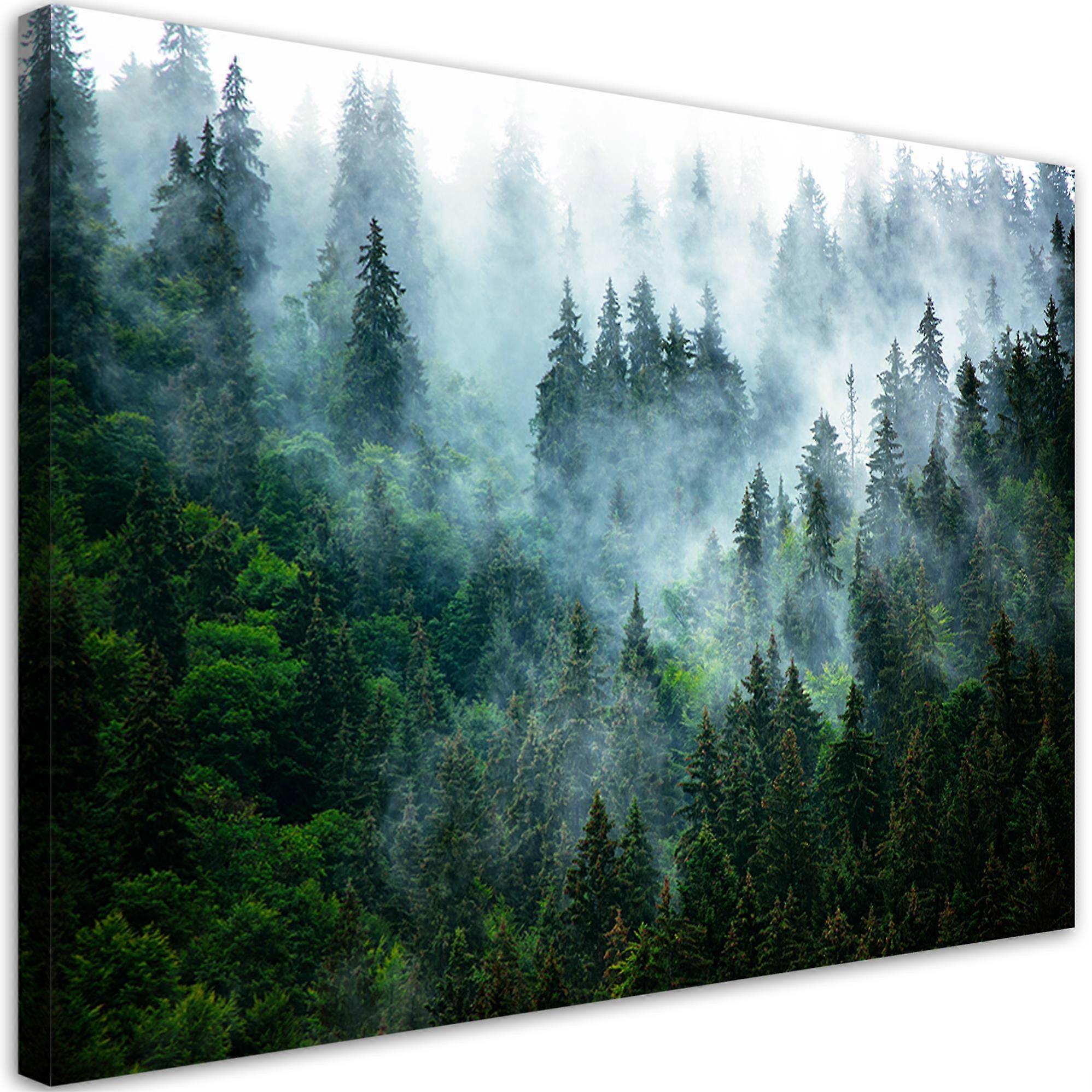 Leinwandbild, Wald im Nebel - 120x80