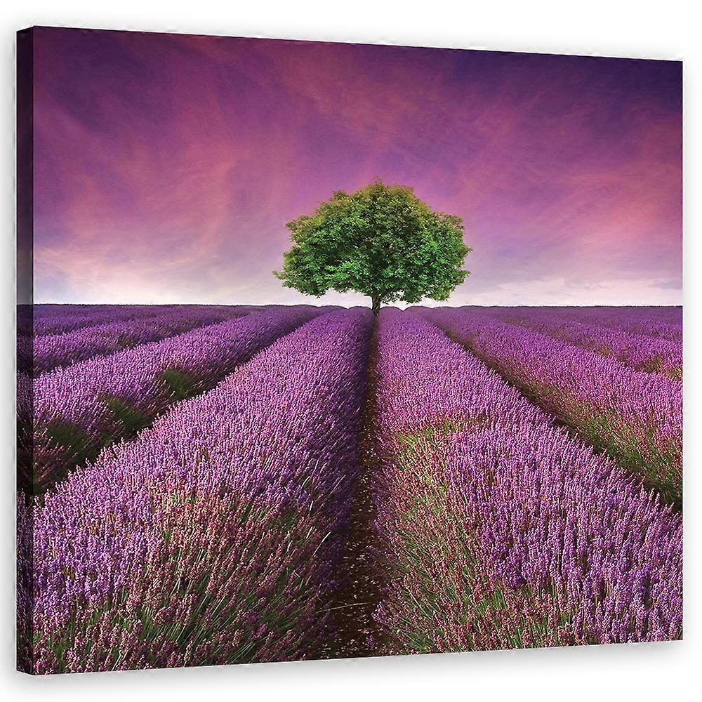 Leinwandbild, Querformat - Lila - 30x30