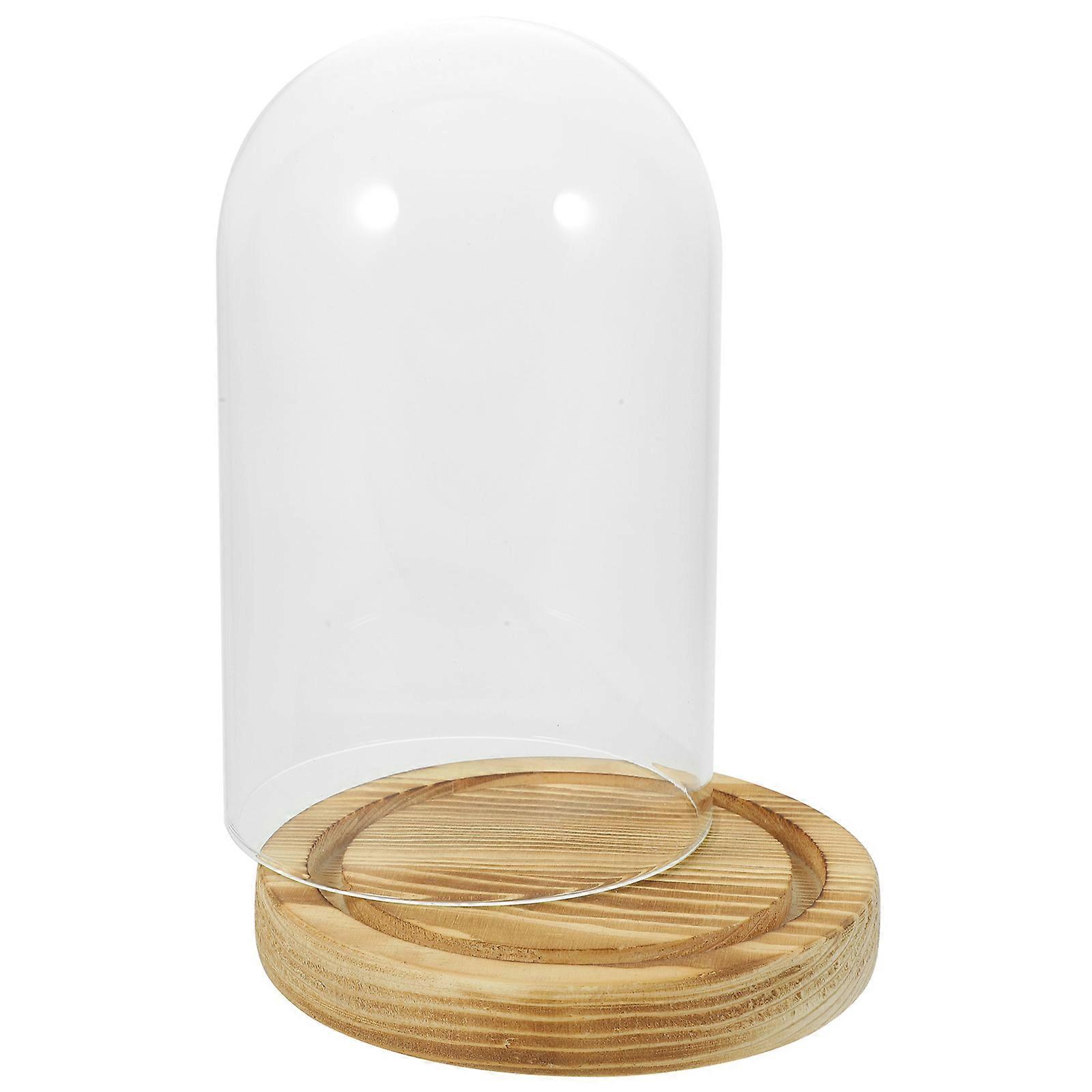Display Stand With Glass Dome Dried Flower Base Transparent Showcase Stand 1Set