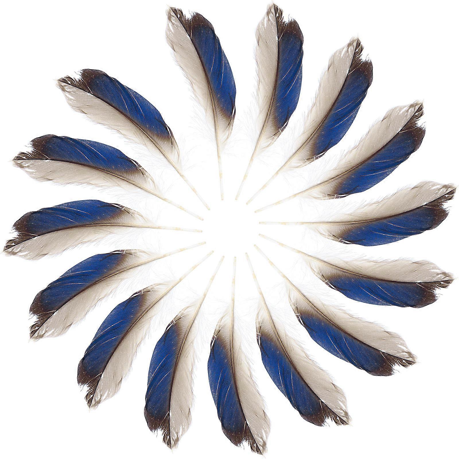 Plumes For Crafts Decorative Duck Plumes Natural Style Masquerade Parties 100Pcs