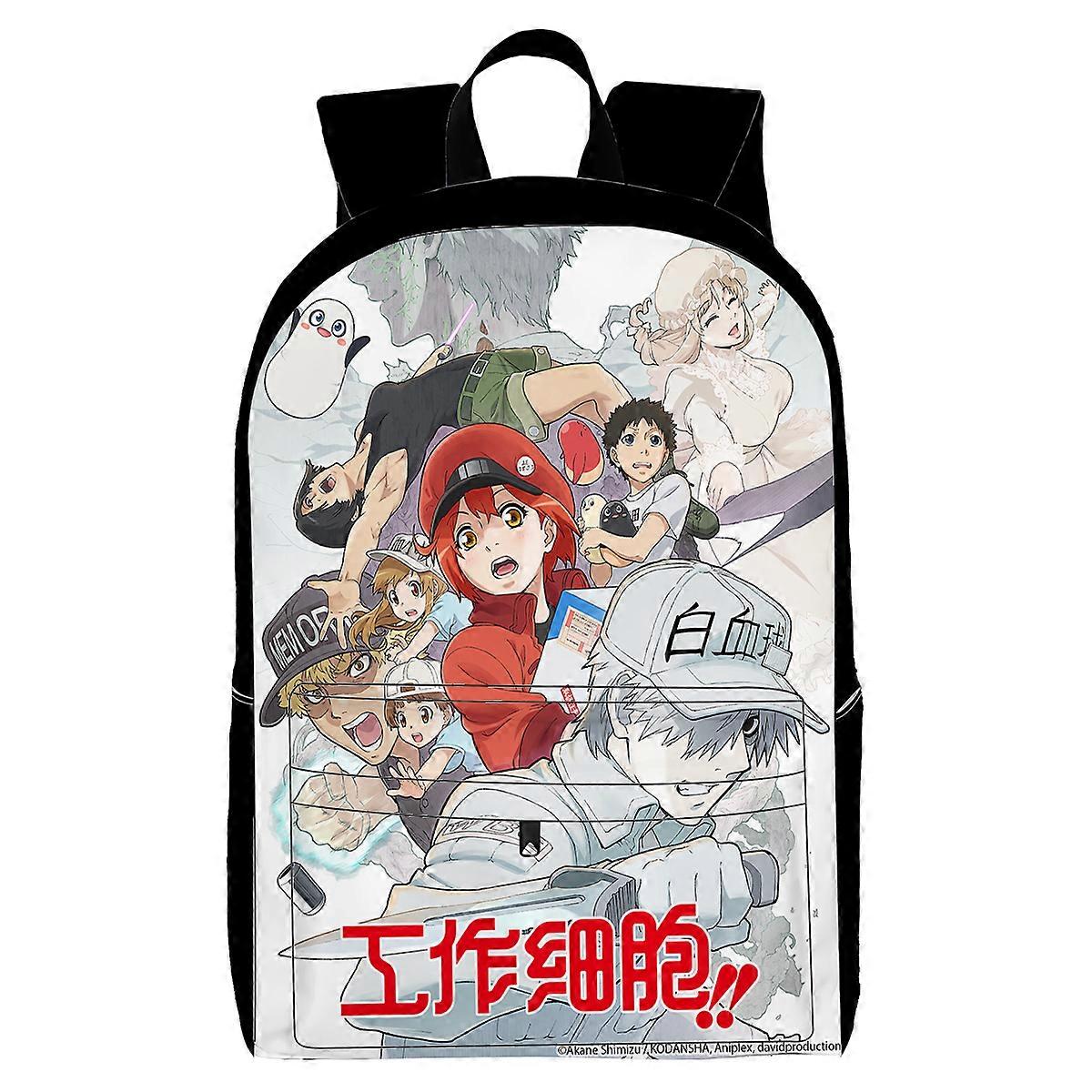 Backpack, with Multiple Organizational Compartments, Fits 15.6 Inch Notebook, for Travel, Teen, Business Work R2580