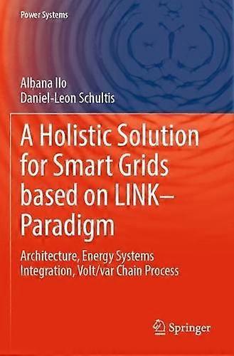A Holistic Solution For Smart Grids Based On Link Paradigm by DanielLeon Schultis Paperback