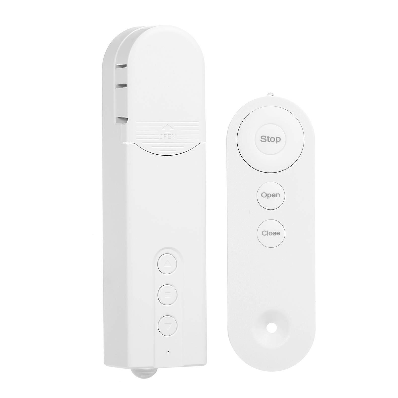 Motore di azionamento per tende motorizzate WiFi ZigBee Control Smart Chain Roller App Control Shade Timer Schedule con telecomando Cavo di ricarica Deve essere P