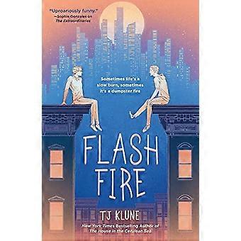 Flash Fire: The Extraordinaries, Buch Zwei (Extraordinaries)