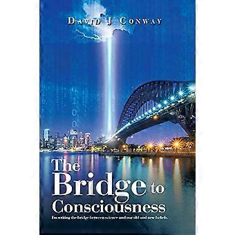 Die Brücke zum Bewusstsein: Ich schreibe die Brücke zwischen der Wissenschaft und unseren alten und neuen Überzeugungen.