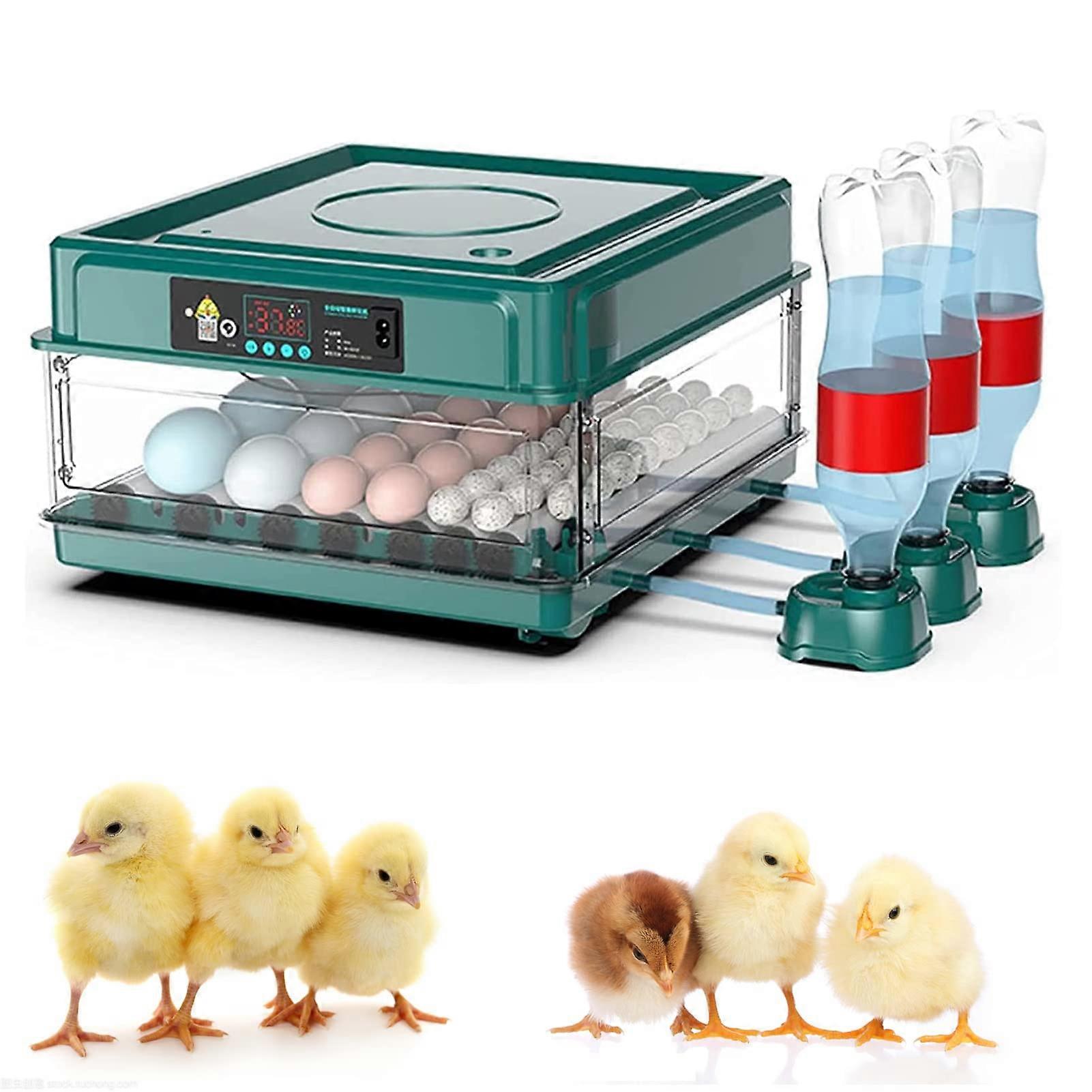 Automatic Egg Incubator with Digital Temperature Humidity Control and LED Egg Candler for Hatching