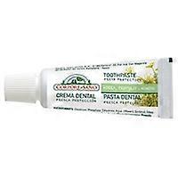 Myrrh, propolis and fennel toothpaste mini without box 15 ml
