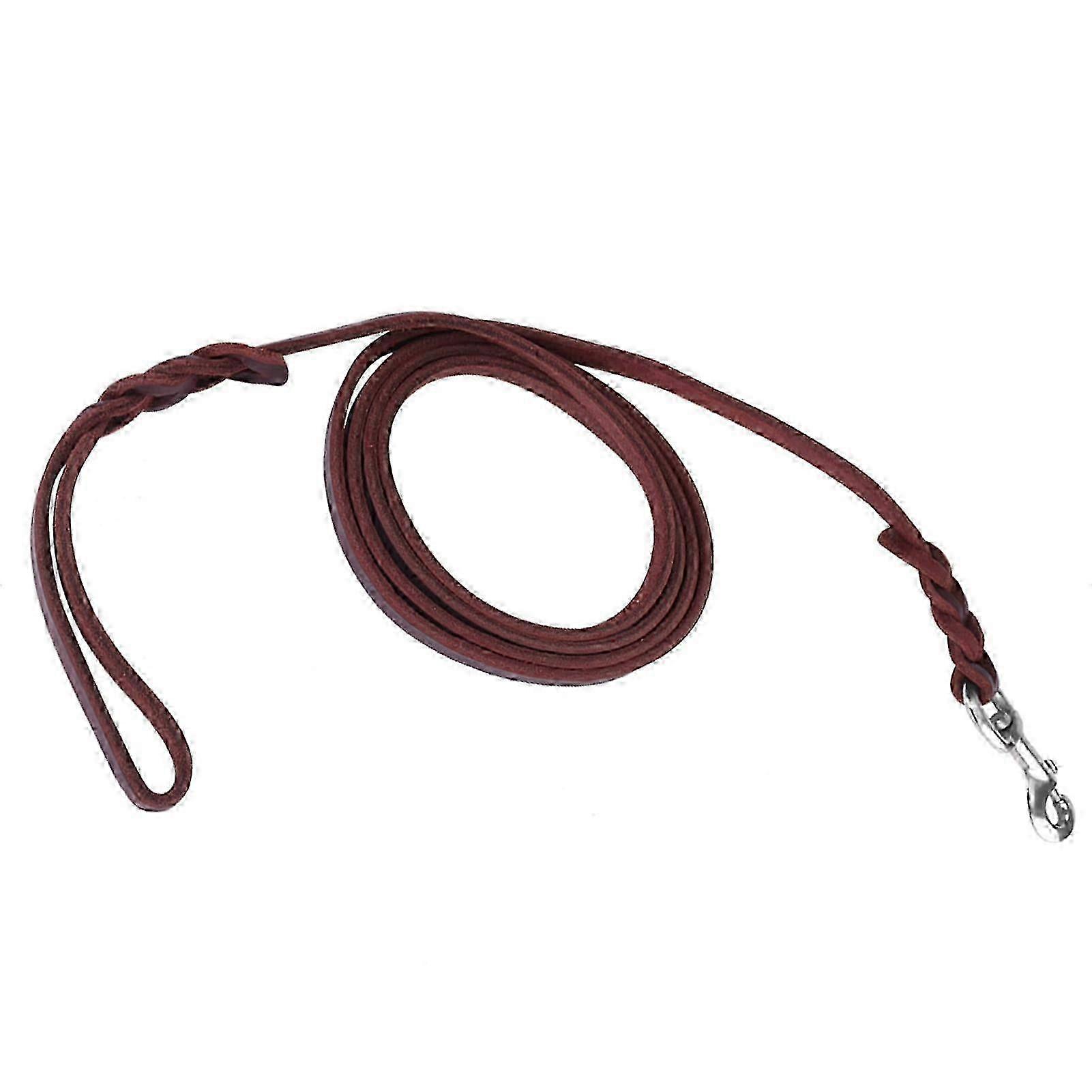 Durable Braided Leather Dog Leash