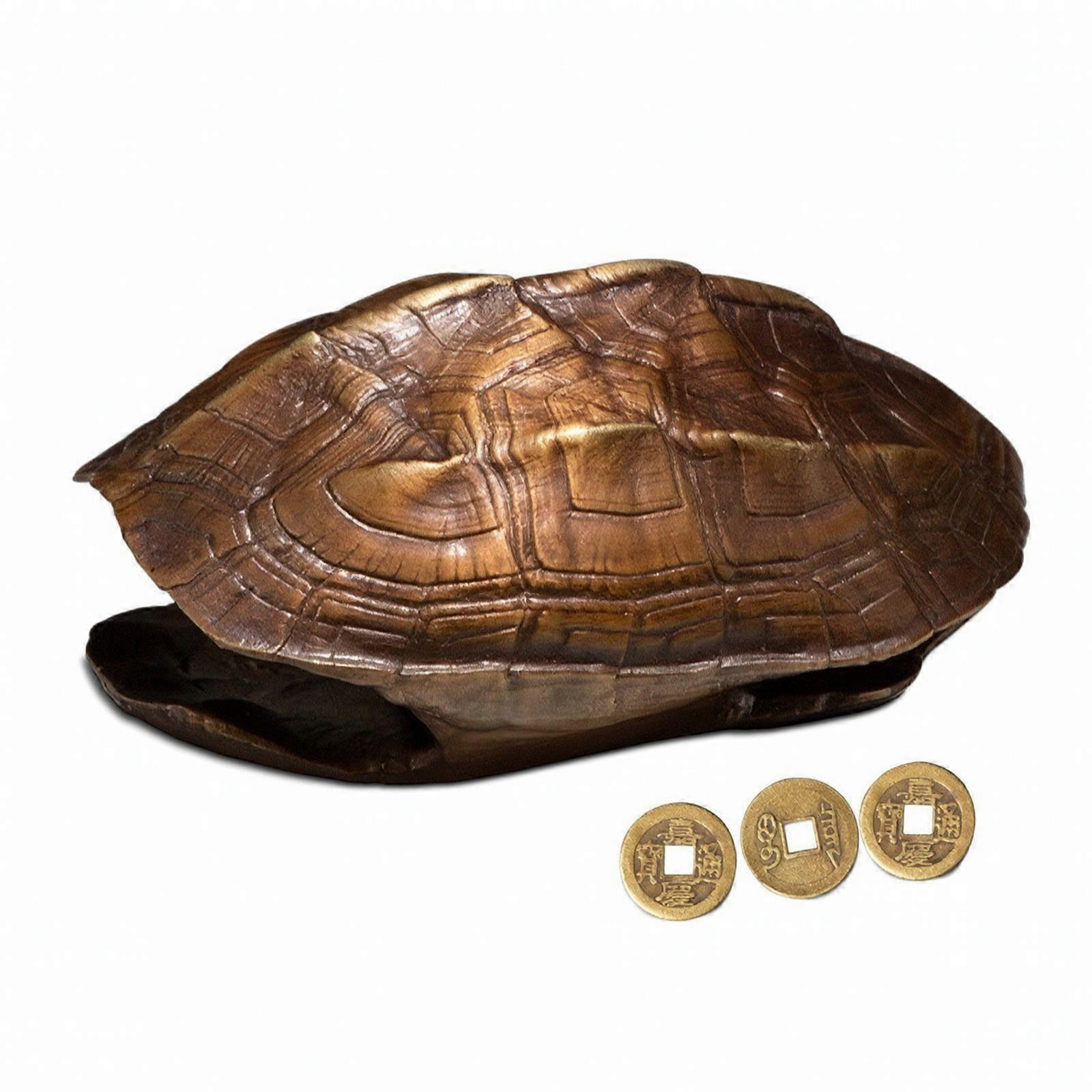 Turtle Shell Decoration Compact Paperweight Collectible for Desk