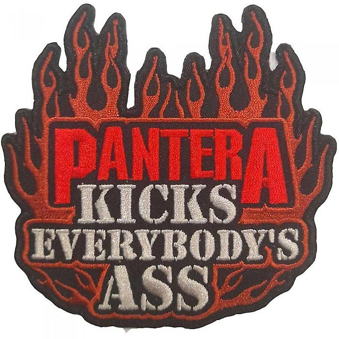 Pantera Kicks Everybody's Ass Iron On Patch
