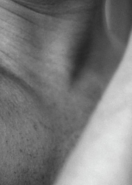 Ardelle Schneider by Ardelle Schneider Hardback Book