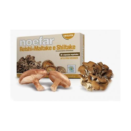 Reishi + Maitake + Shiitake 30 capsules