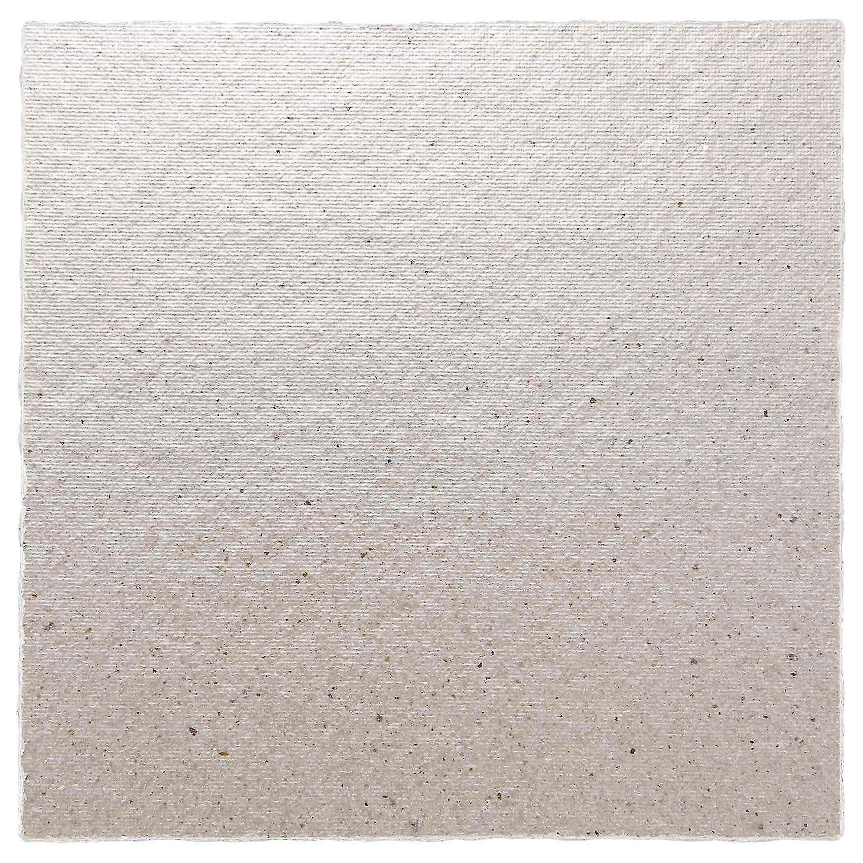 2 X Replacement 12 X 12 Cm Plate Mica For Microwave