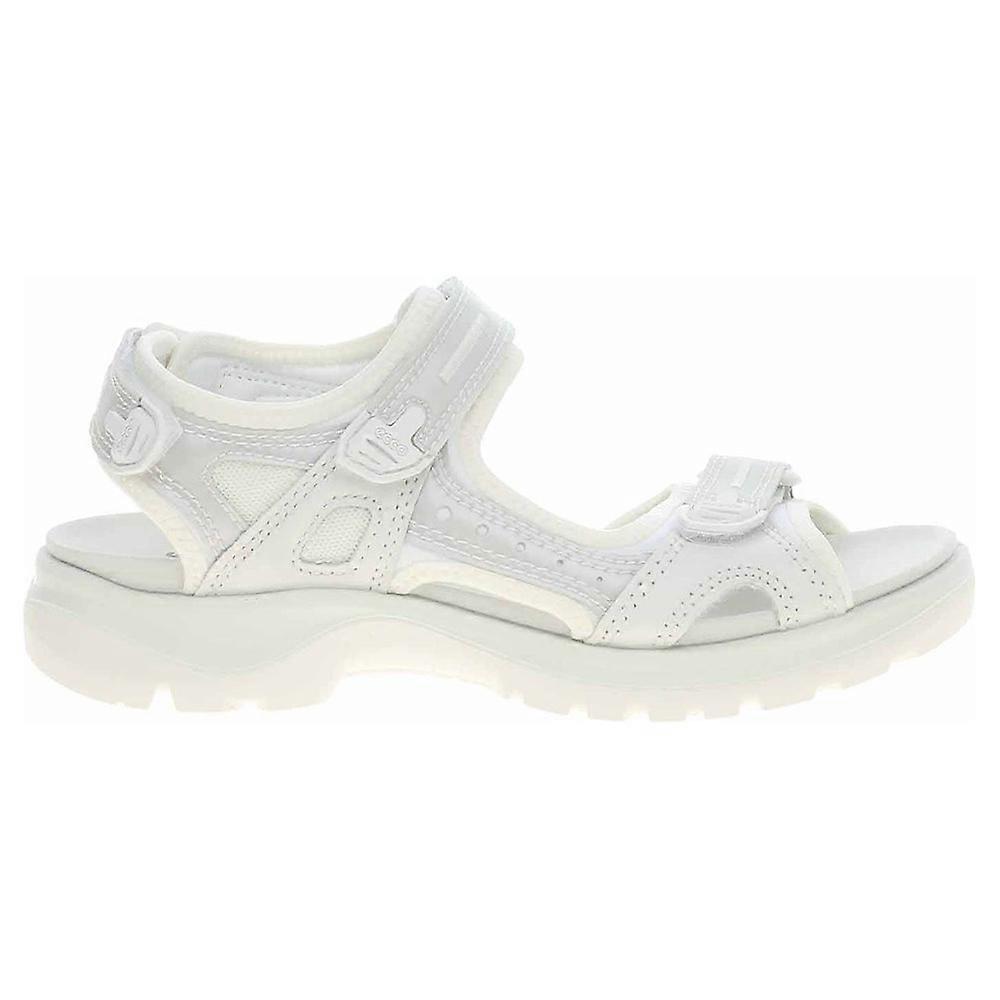 Shoes Ecco sandals White-iridescent 06956360922