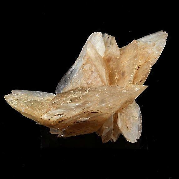 Gypsum 131.0 carats