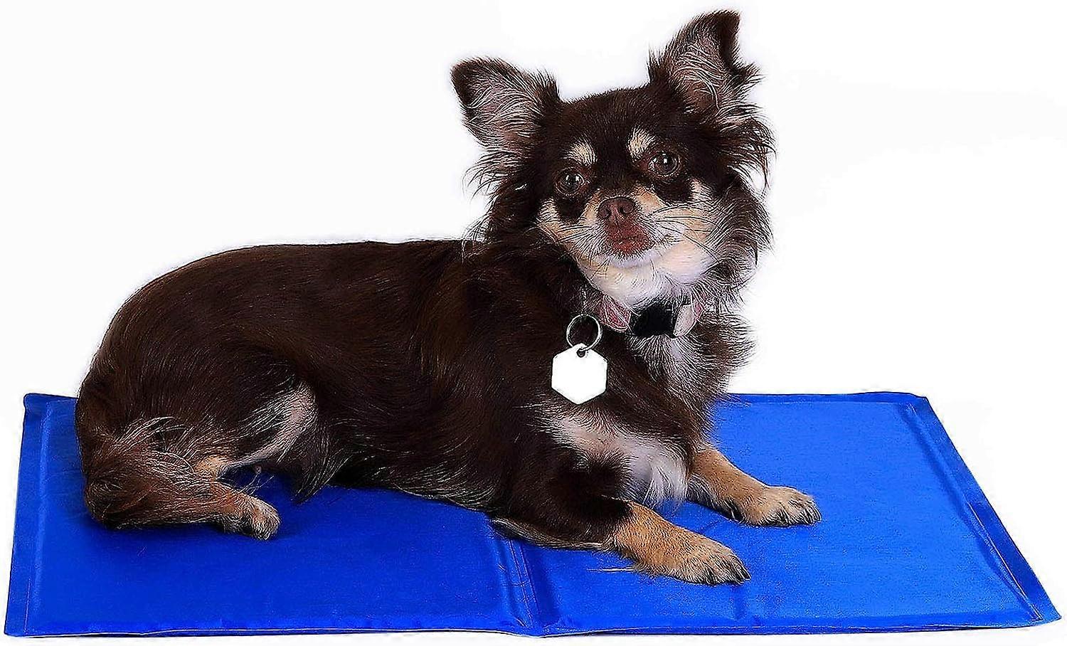 Pet mat 50x40 cm blue