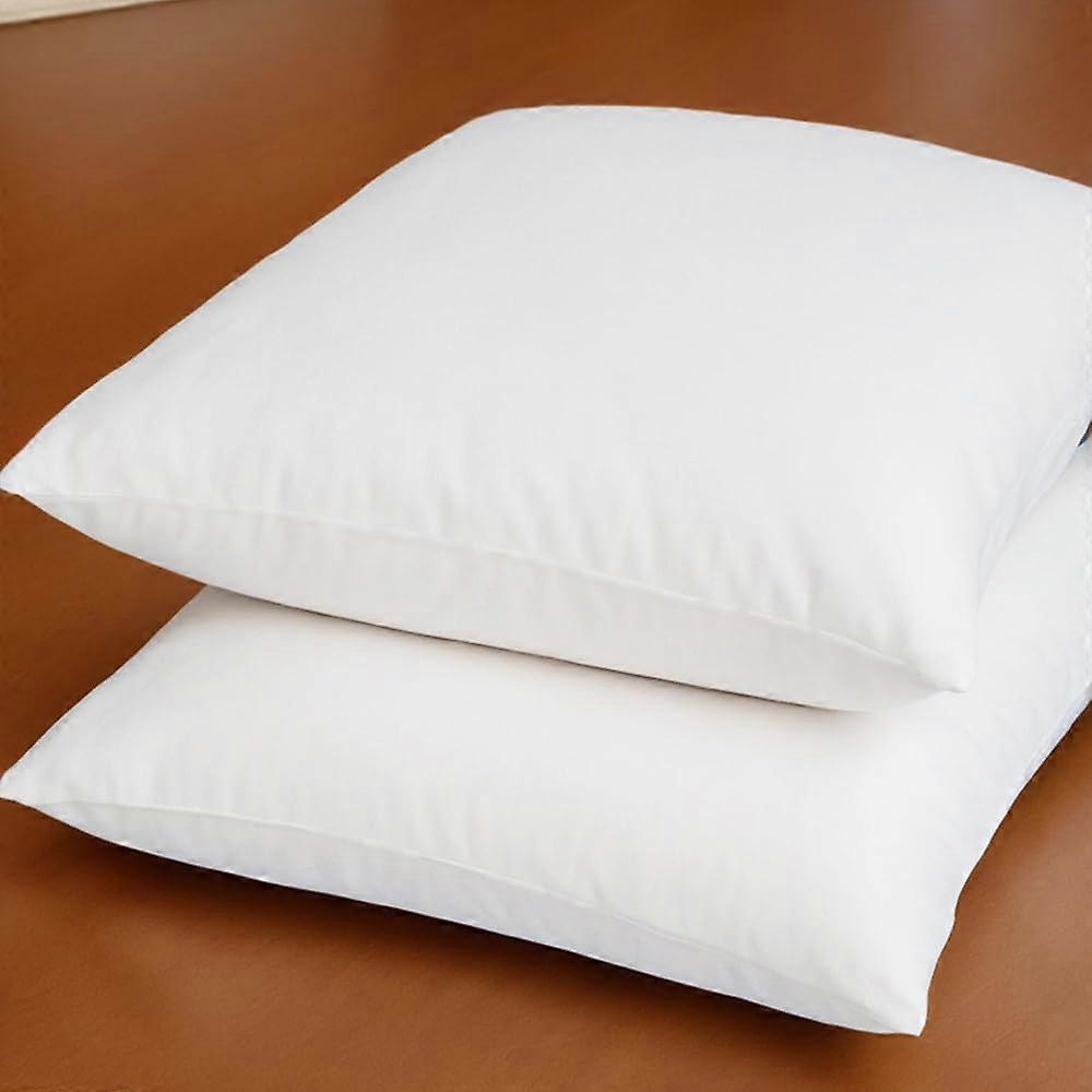 2 Pack Throw Pillow Inserts Decorative Down Alternative for Bed 24 x 24 Inches