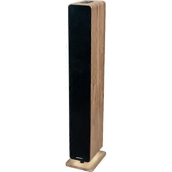 Bluetooth-Lautsprecher - THOMSON - Holz/Schwarz - 120W, Optisch, USB, Equalizer, TWS, Fernbedienung, Netzteil 230V