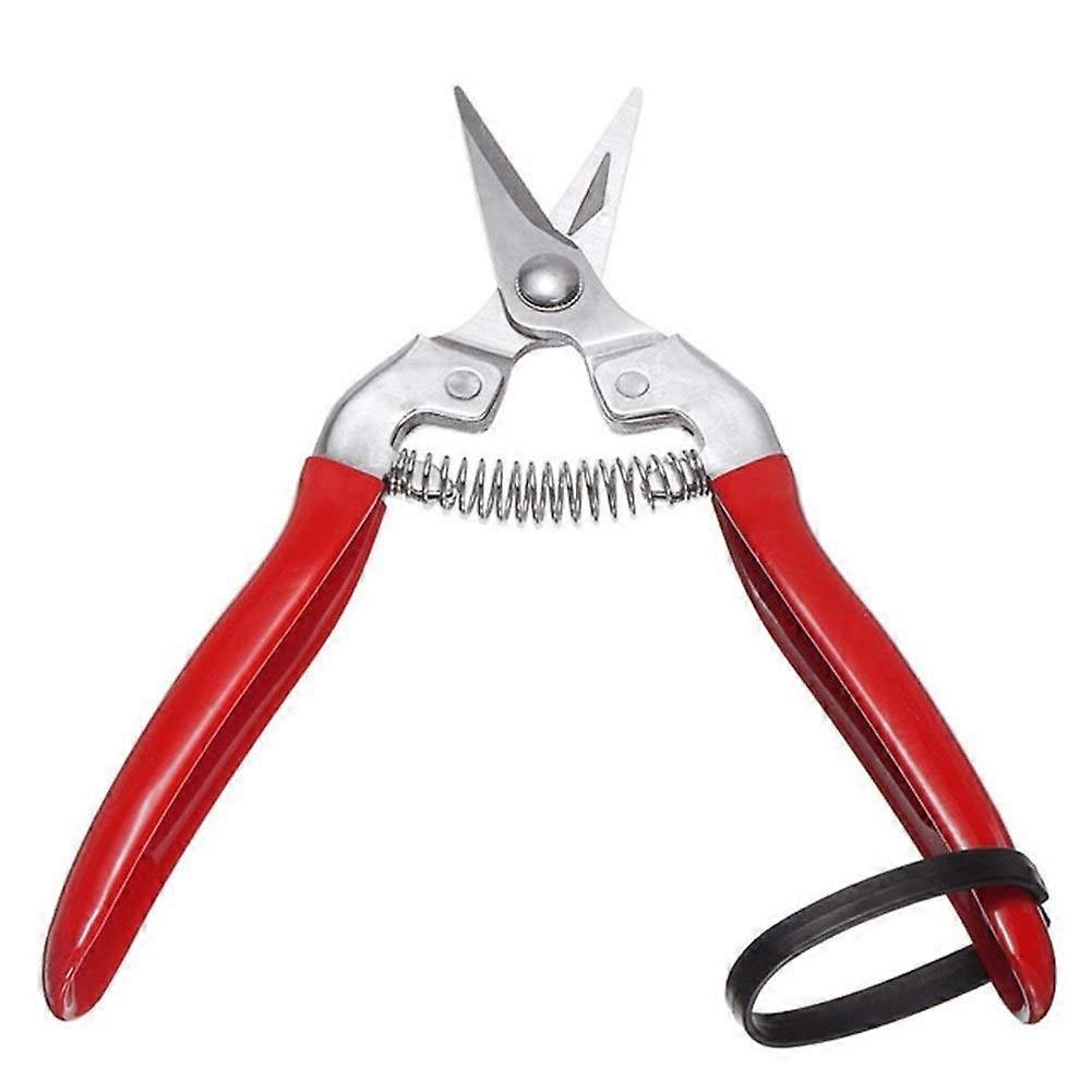 Pruning Shears Curved Blade, All-Purpose Garden Scissors, Hedge Shears, Bonsai Branch Pruners, Secateurs