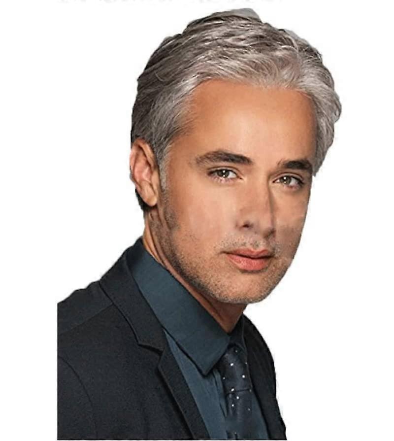 Grey Wig for Men, Fluffy Realistic Short Hair Old Man Wig for Daily Party Wear