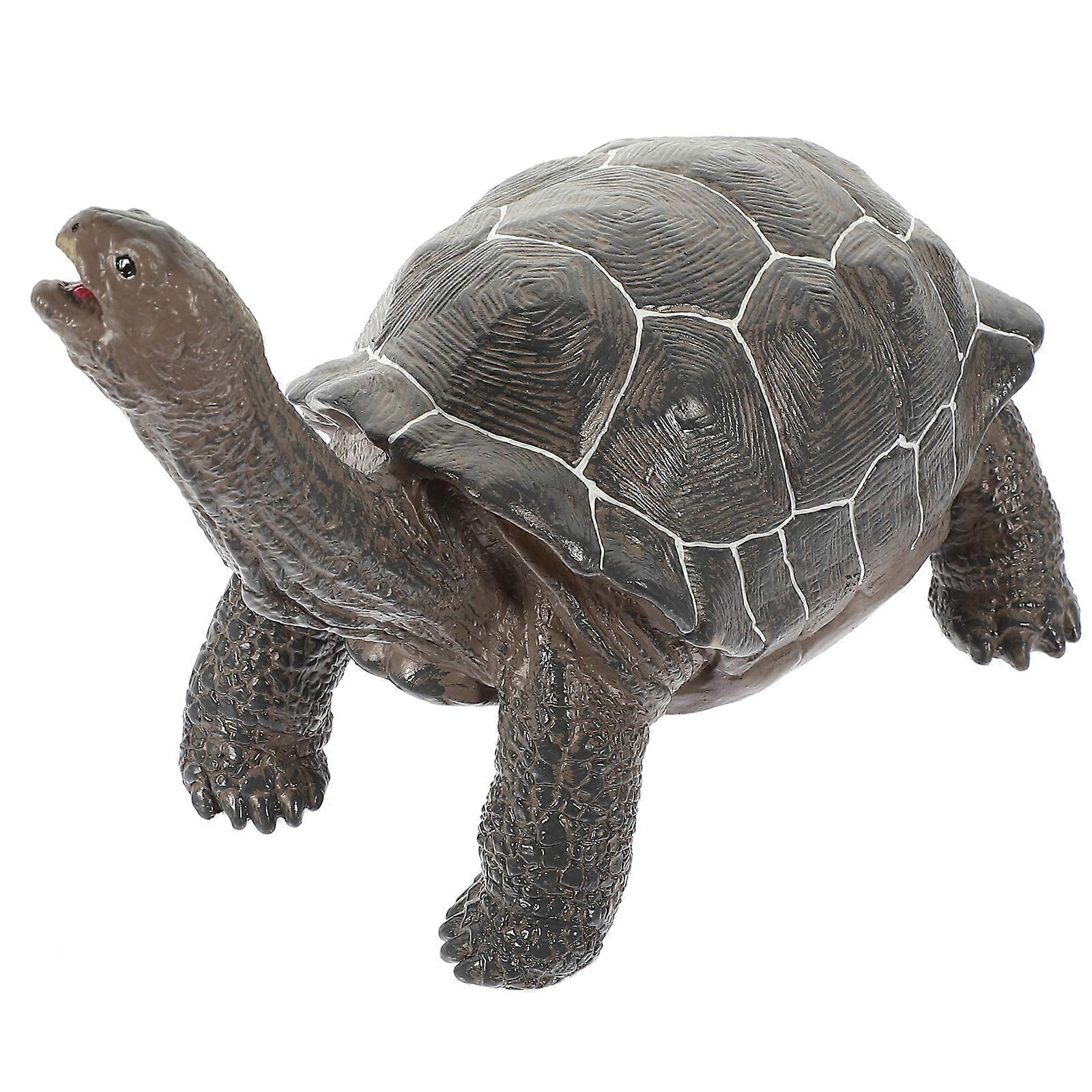 Realistic Turtle Figurine for Wildlife Education and Home Decoration – Educational Turtle Model for Learning and Decorative Use