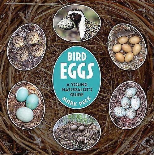 Bird Eggs by Mark Peck Paperback