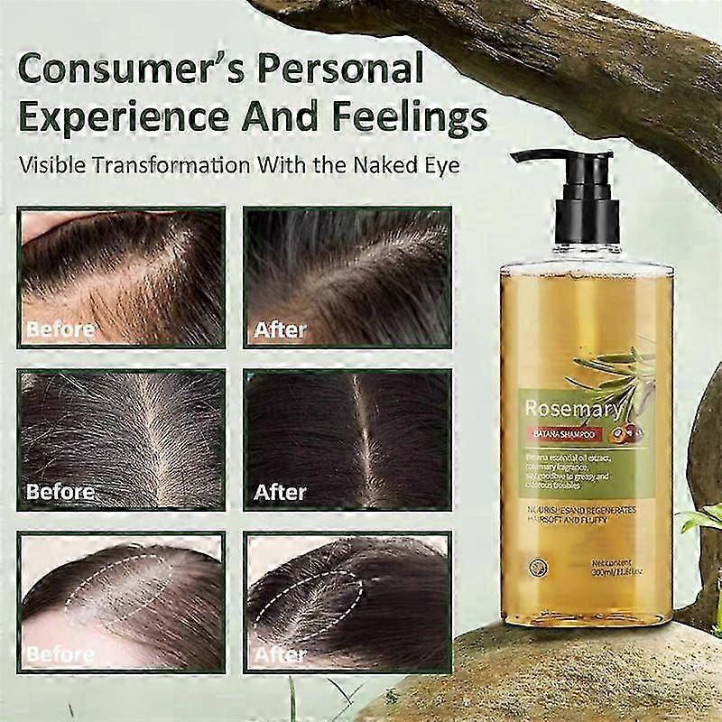 Rosemary & Palm Extract Shampoo (300ml) Volumizing, Oil Control, Nourishes Scalp, Adds Softness & Volume, Sulfate-Free Formula for Oily/Flaky Hair