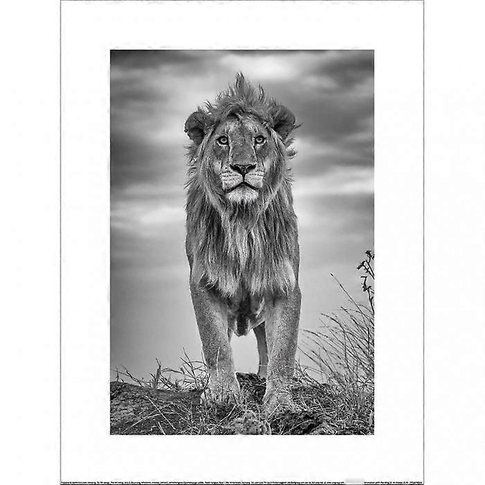 Ali Khataw Encounter With The King Print