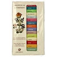 Mini Incense Case Garden Nature 1 unit