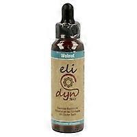 Walnut 20 ml of floral elixir