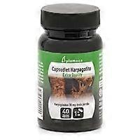 Capsudiet Harpagophyte 40 capsules