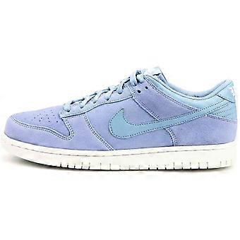 Nike Dunk Low Glacier Grey/Glacier Grey 904234-005